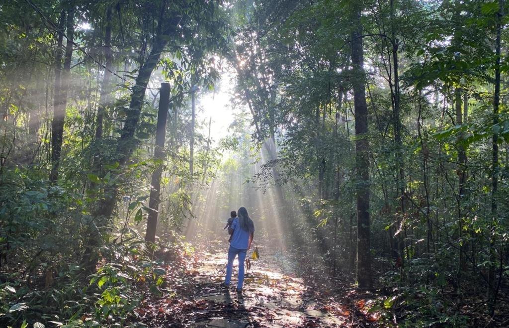 Reservamazon Forest Hotel 벨렘 외부 사진