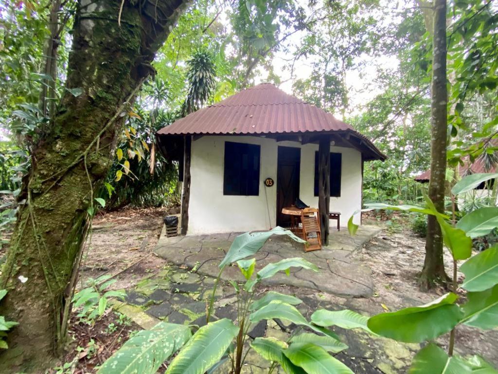 Reservamazon Forest Hotel 벨렘 외부 사진